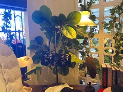 -新世界百货(顺义店)