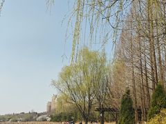 -前关湿地公园