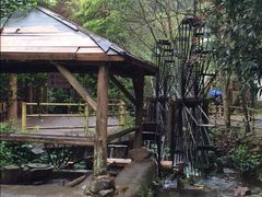 -德庆盘龙峡生态旅游区
