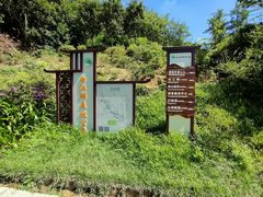 -广州白江湖森林公园