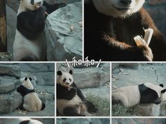 -红山森林动物园
