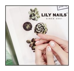-LILY NAILS美甲美睫
