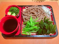 -松涛日本料理
