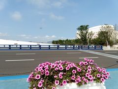 -星光岛