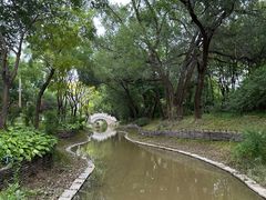 -北坞公园