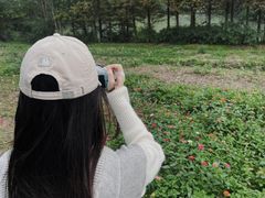 -桤木河湿地公园