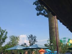 -苏州乐园森林水世界