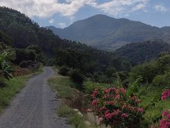 -福清灵石山国家森林公园