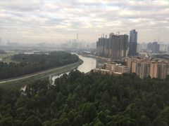 -深圳富临大酒店