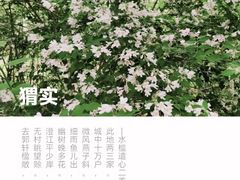 -南海子公园