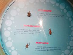 -萌宠奇缘
