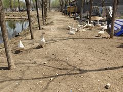-东郊湿地公园