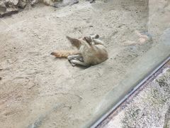 -广州长隆飞鸟乐园
