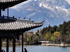 -黑龙潭公园