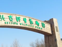 -北京野生动物园