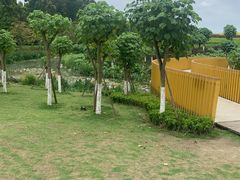 景点-天府芙蓉园