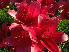 -长春公园(普阳街道)