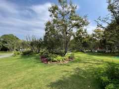 -咸阳湖景区-古渡公园