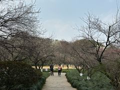 -杭州植物园