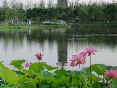 -西海子公园