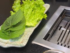 -臻牛烤肉