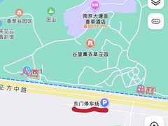 -大塘金香草谷