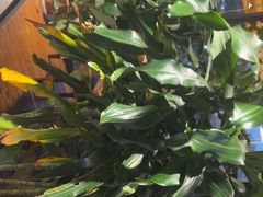 -盐帮食坊•小河帮川菜(四川师大店)