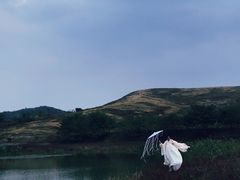 -恋山坝上草原