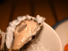 -Hatsune隐泉日式料理(三里屯太古里店)