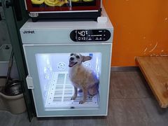 -PETKIT小佩宠物(昭化店)