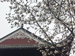 -长春观