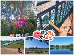 -上海辰山植物园