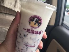 -一只酸奶牛(奎星楼店)