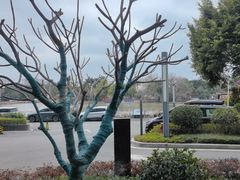 -福州西湖大酒店·怡湖咖啡厅