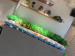 -鲜一烤肉(沈北店)