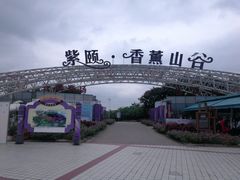-紫颐香薰山谷景区