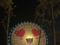 -琴岛之星摩天轮