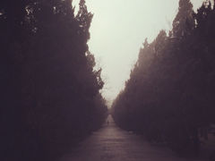 iphone_upload_pic-八大关景区