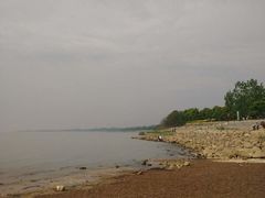 -合肥滨湖国家森林公园