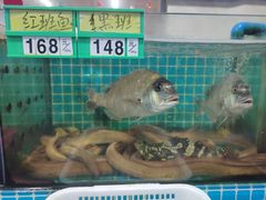 -好味道海鲜大排档·老字号(巽寮湾海鲜市场店)