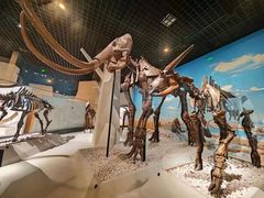 -国家自然博物馆