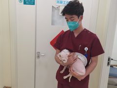-美联众合动物医院·内科·皮肤科·外科(古城分院)
