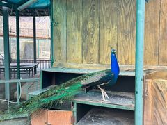 -新疆天山野生动物园