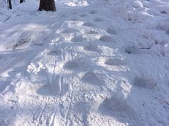 -雪谷