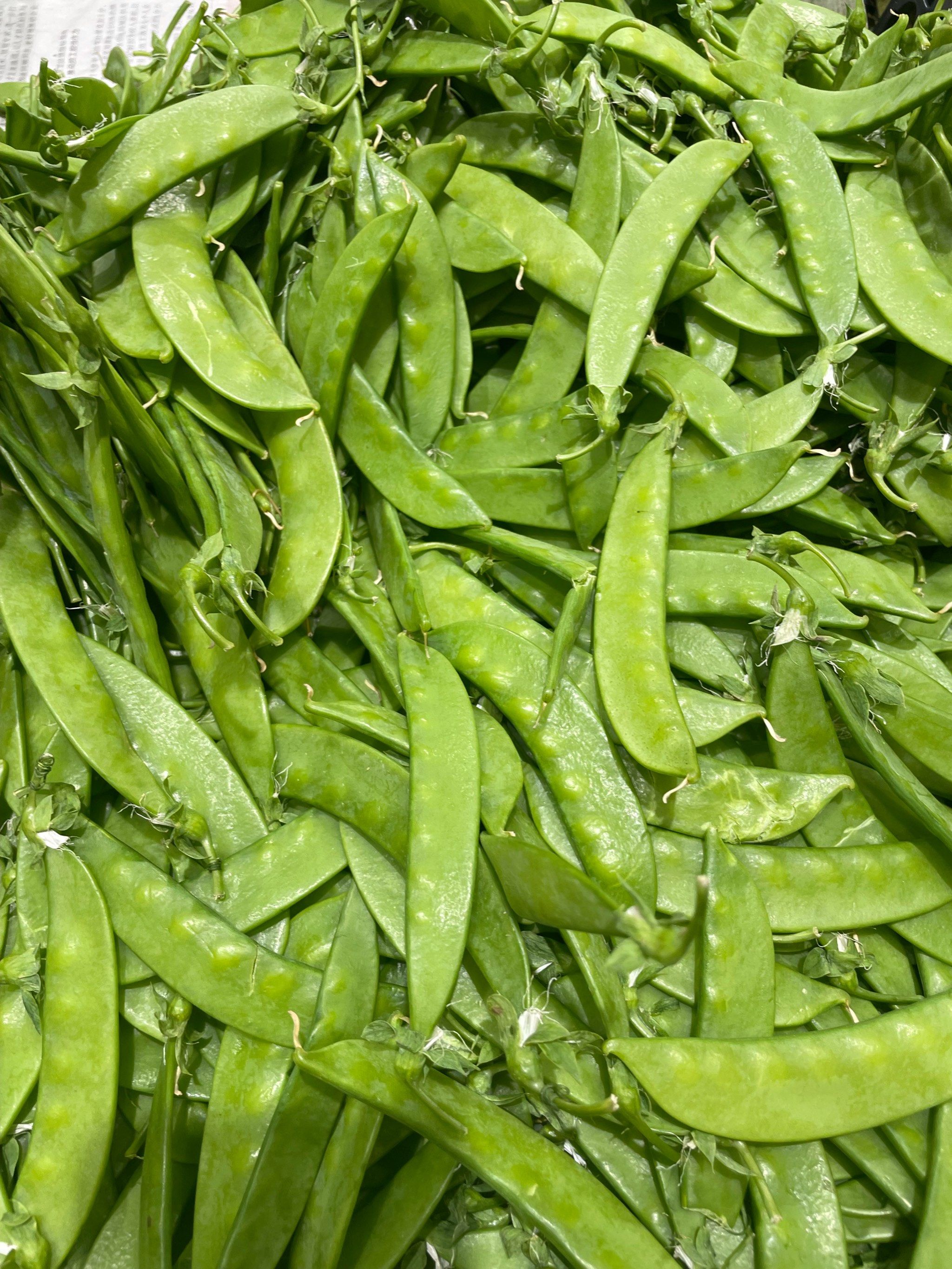 春天的蔬菜好新鲜