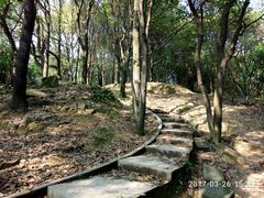 -火炉山森林公园