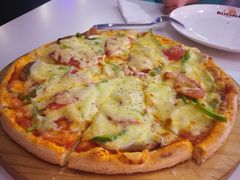 -百好乐宠物友好餐厅(朝外大街店)