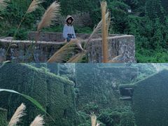 -枸杞岛