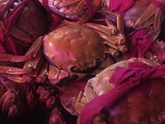 -黄记煌三汁焖锅(悦方IDmall店)