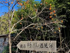-林坑古村落
